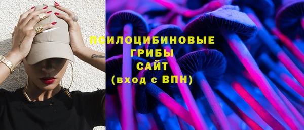 дурь Алексин