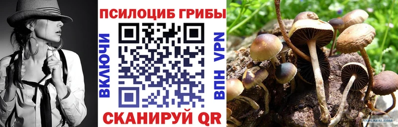 Галлюциногенные грибы GOLDEN TEACHER  Сатка 