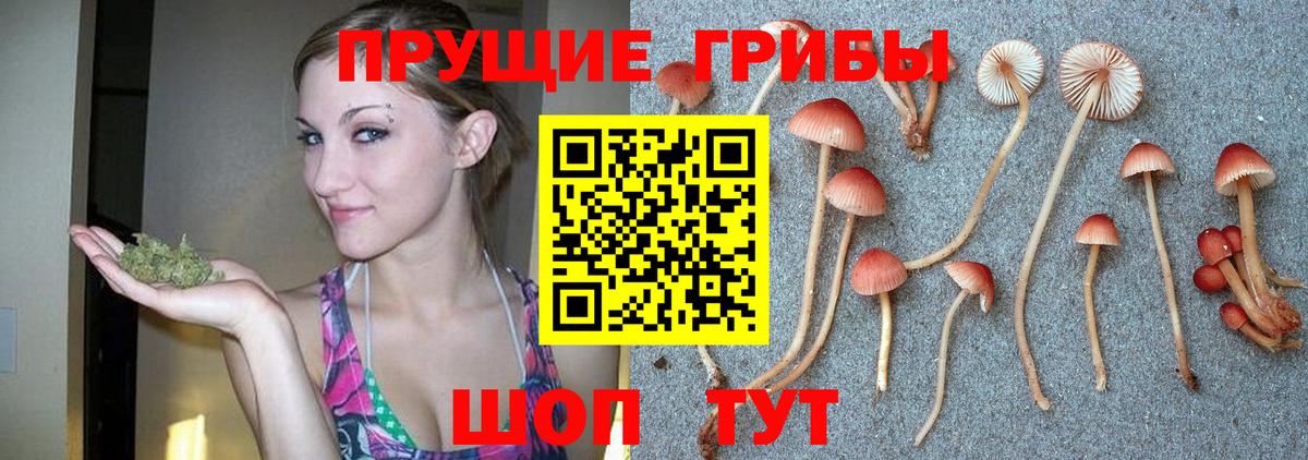Псилоцибиновые грибы прущие грибы  Вход с VPN  Сатка 