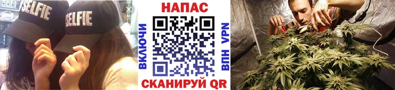 где купить наркоту  Сатка  Марихуана White Widow 